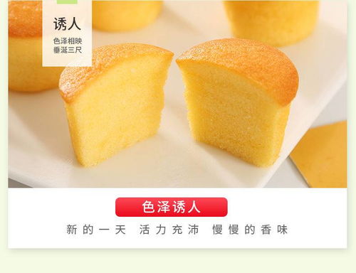 營養西式糕點新潮流 早餐小蛋糕與雞蛋面包的整箱批發指南